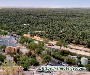 واحة الأحساء.. منتجعات سياحية تحفز على الاستجمام واحة الأحساء.. منتجعات سياحية تحفز على الاستجمام