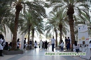 جامعة الإمام عبدالرحمن بن فيصل تطلق حملة ( حج صحي وجسد سليم) بالتزامن مع موسم الحج .