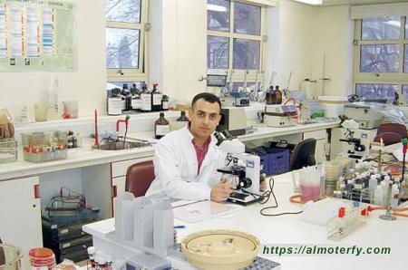 ما صحة نقل الجمال لفيروس الكورونا؟