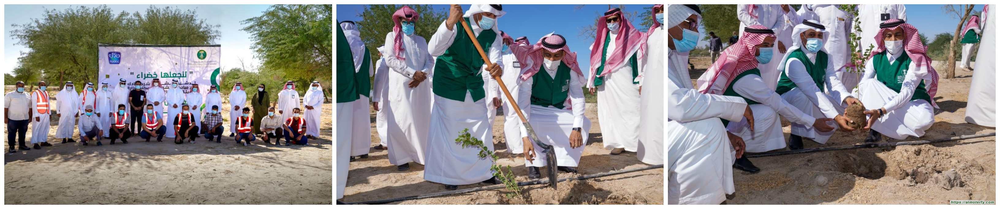 " البيئة " بالأحساء تطلق مبادرة لنجعلها خضراء بزراعة 85 ألف شجرة في عدد من المواقع بالمحافظة بتعاون مع" نادك "