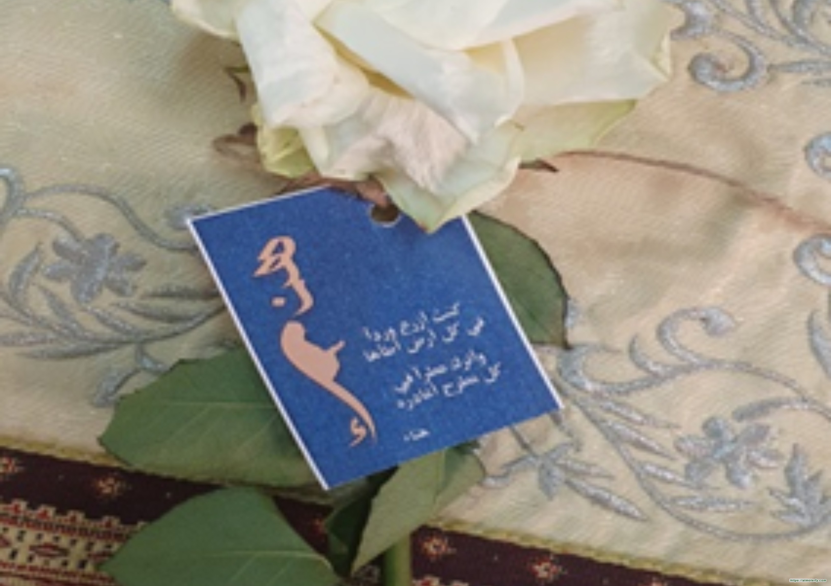 هناء أيقونة العطاء وسفيرة الثقافة