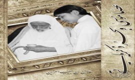 الكاتب القرين يصدر كتابه الجديد باسم.. "عصا موسى وبحر ذكرياتي"