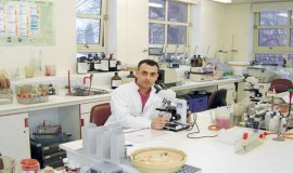 ما صحة نقل الجمال لفيروس الكورونا؟