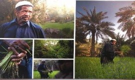 زوار ويا التمر أحلى  يُشيدون بـ (بوحليقة )
