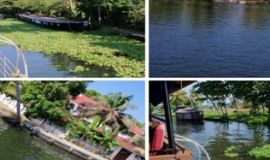   عــــروس الـــهـــــــنـد