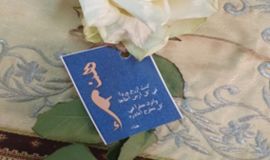 هناء أيقونة العطاء وسفيرة الثقافة